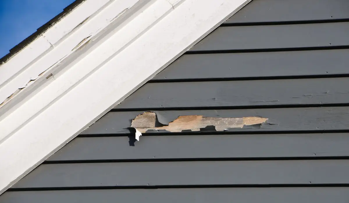Close-up of peeling home exterior paint on siding, showing damage from weather and poor exterior paint application.