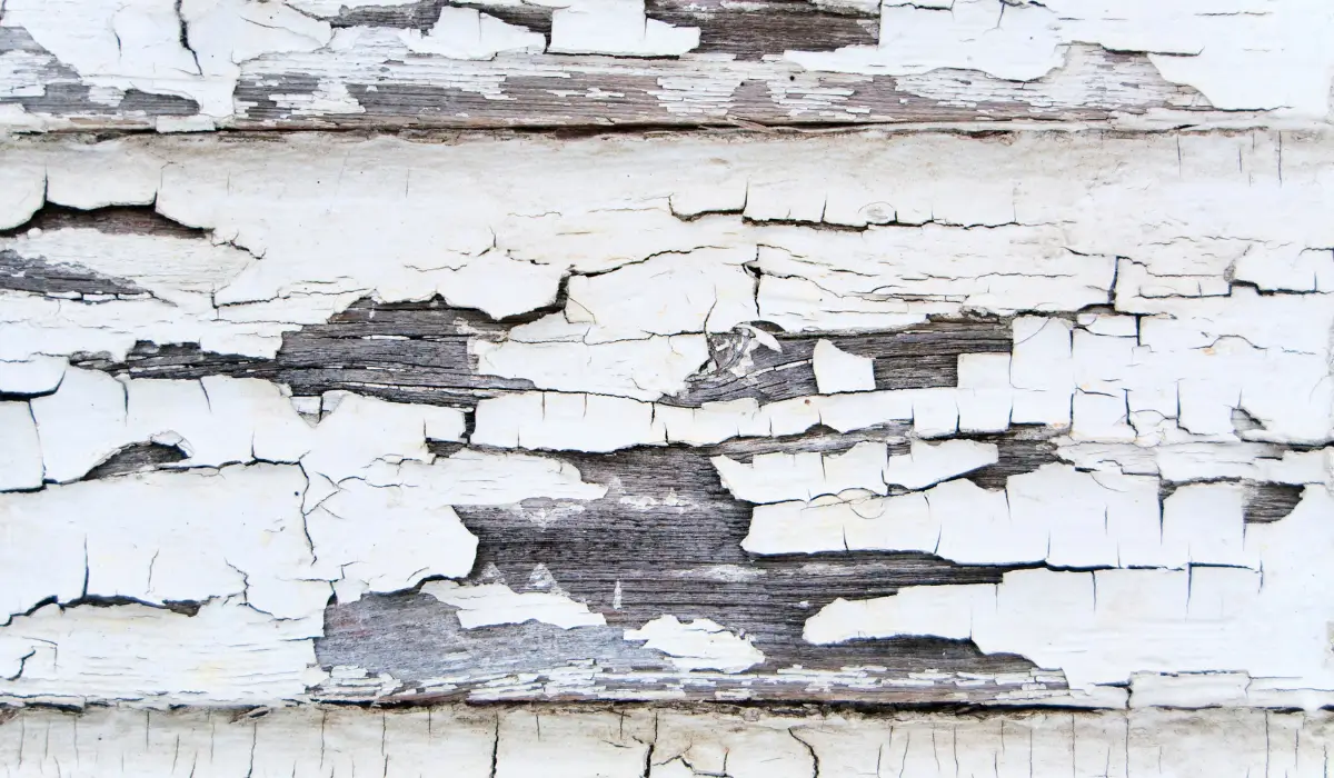 Close-up of cracked and peeling paint on home exterior siding, showing damage caused by delayed painting in fall weather conditions.