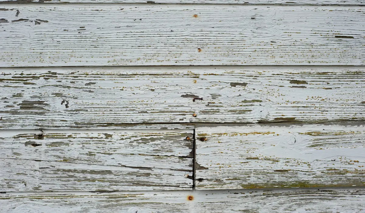 Peeling exterior paint on weathered wood siding after winter exposure in Downers Grove IL.